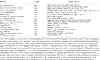 Comprehensive Analysis of Key Genes, Signaling Pathways and miRNAs in Human Knee Osteoarthritis: Based on Bioinformatics